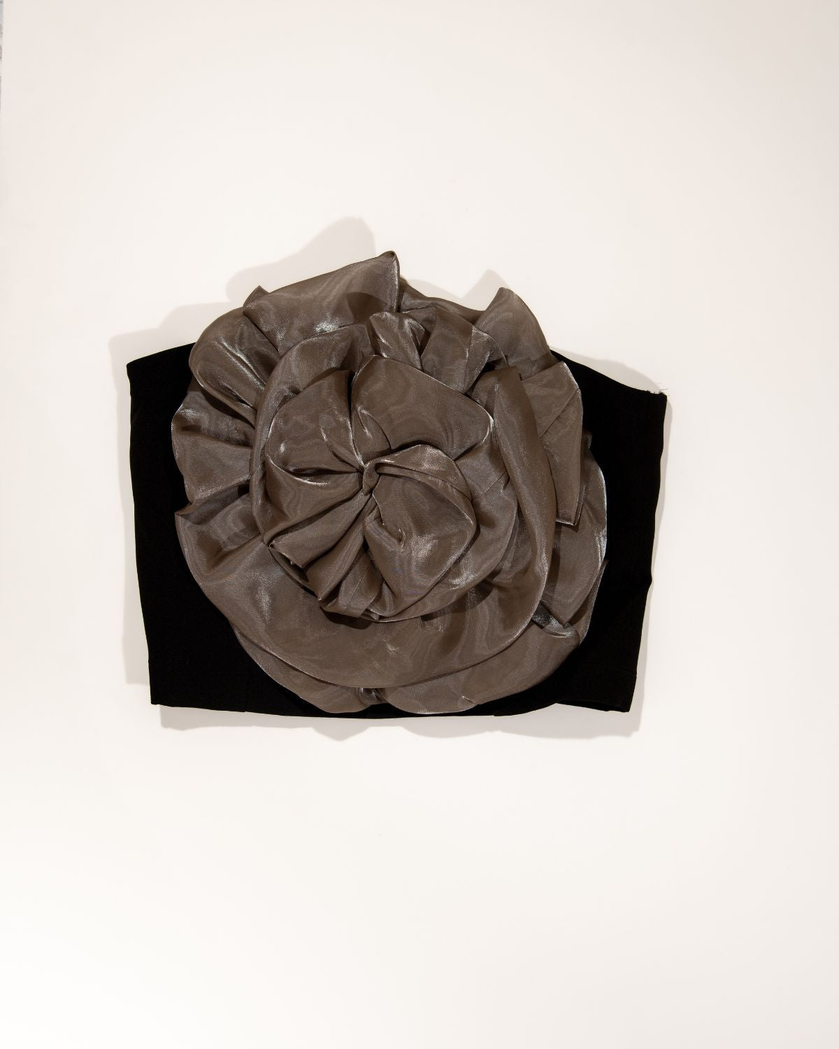 ROSETTE